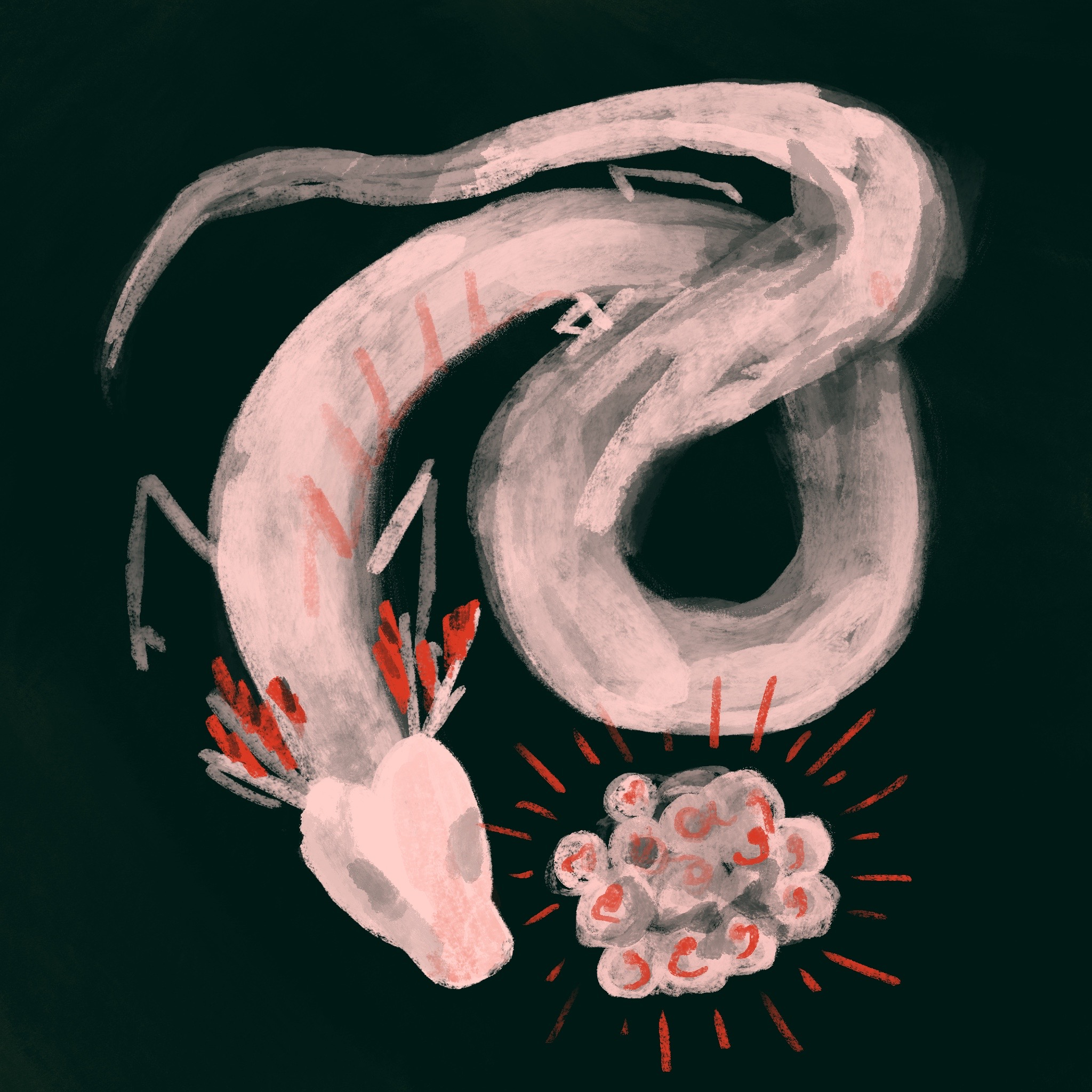 Olm